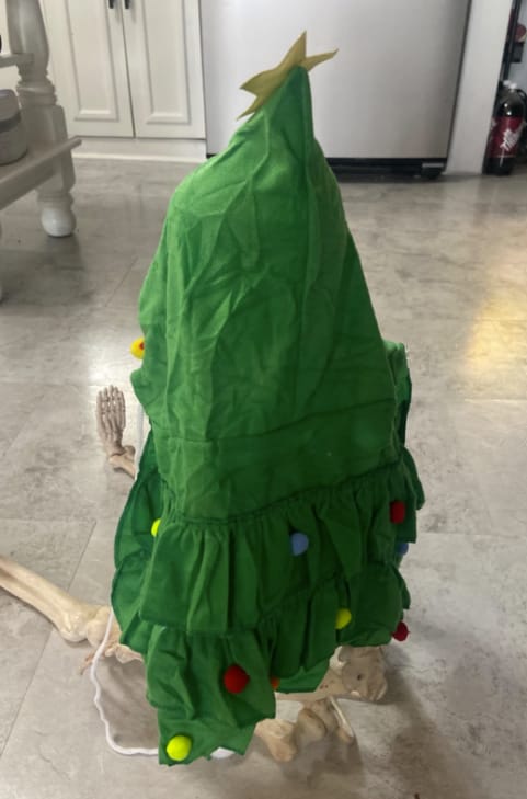 Customer photo review of 🎄 Velora™ Christmas Tree Pet Cape