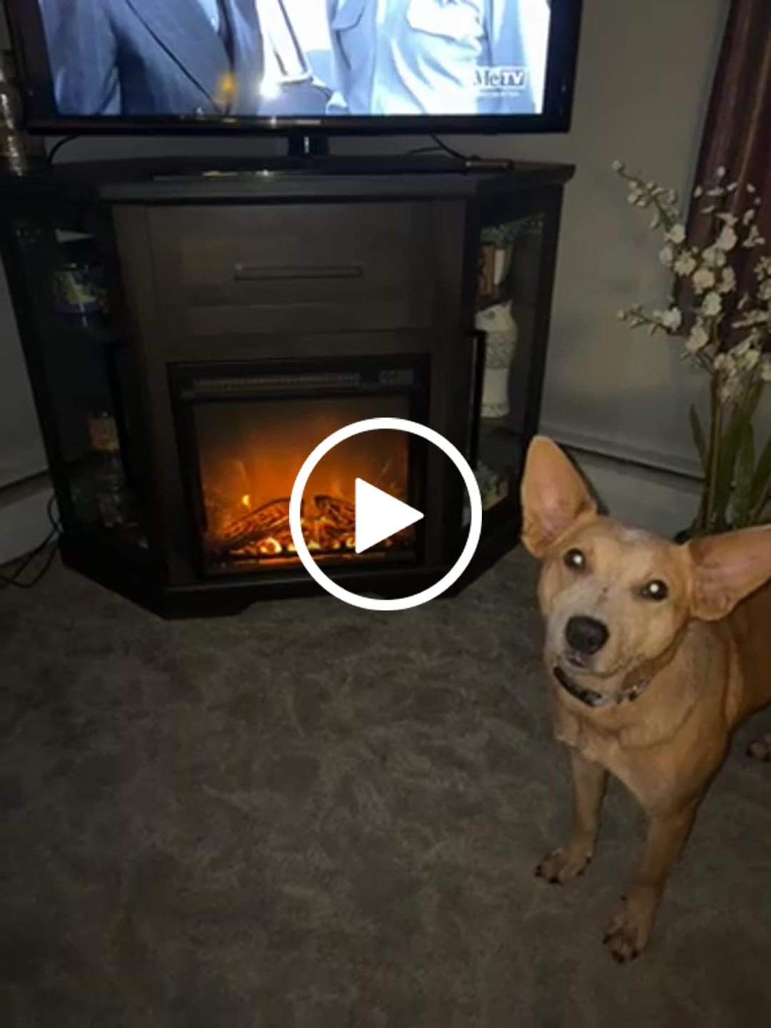 Customer video review of Dale 43" Corner Fireplace TV Stand
