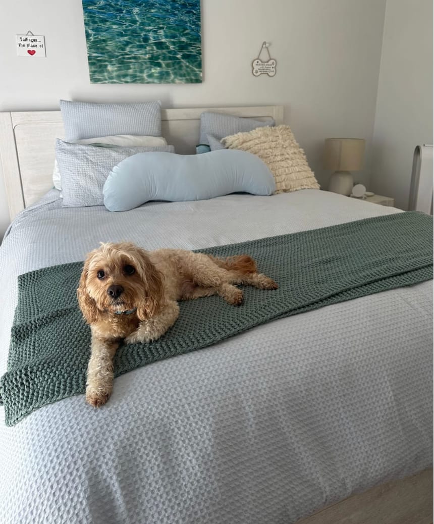 Customer photo review of Nuvéa™ – Oreiller Ergonomique