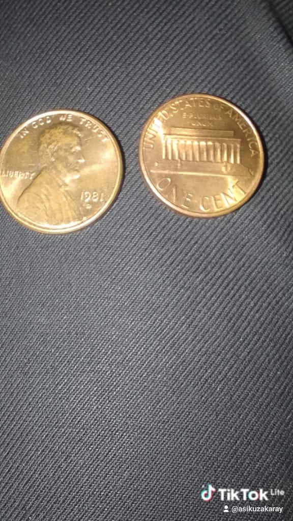 Customer photo review of United States | 1 Cent Coin | Abraham Lincoln | KM:201 | 1959 - 1982