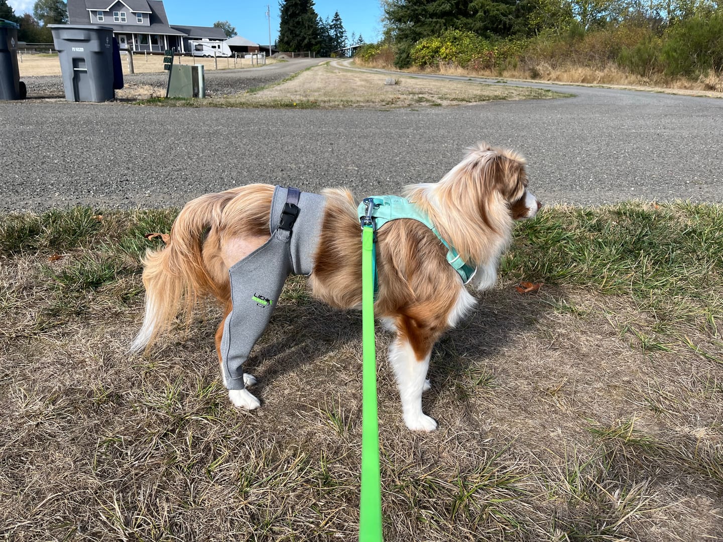 Customer photo review of Lick Sleeve® Leg Sleeve