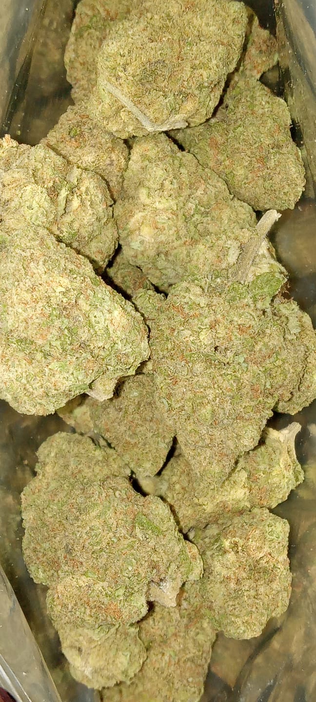 Customer photo review of Lyon King THCA Flower