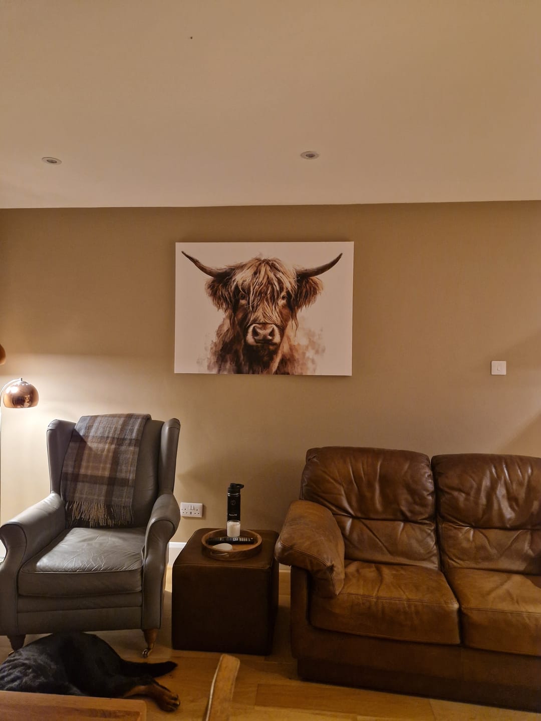 Customer photo review of Little Brown Highland Cow Canvas Print