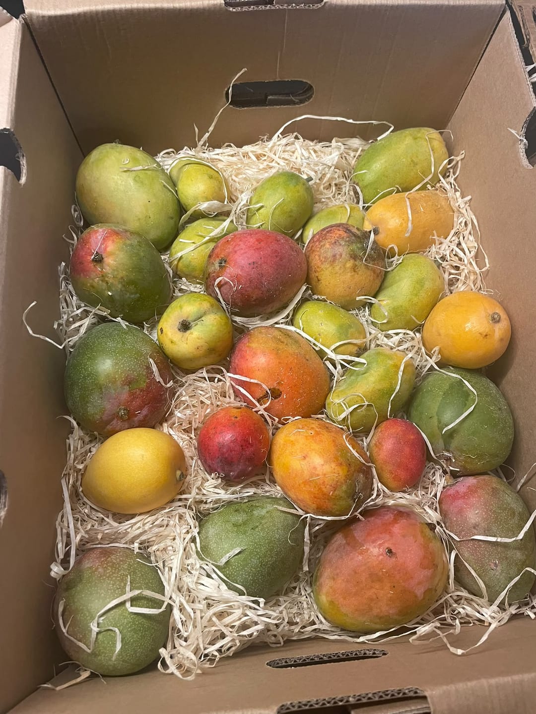 Customer photo review of Mini-Mango von Juan 3kg Retterbox %