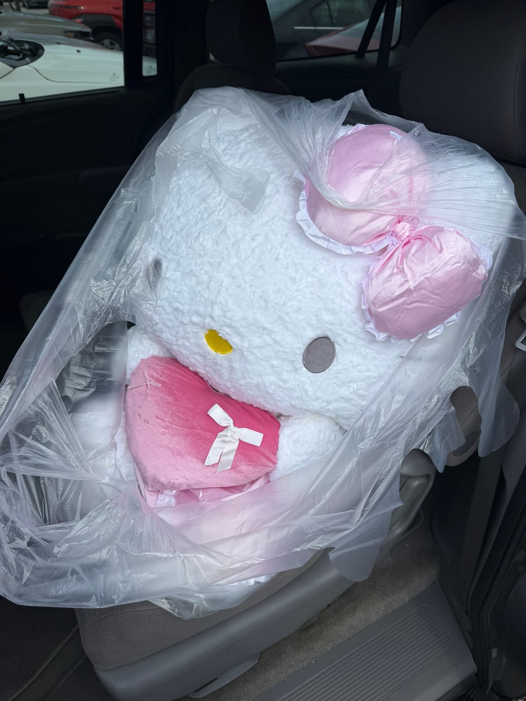 Customer photo review of Authentic Sanrio Pink Coquette Hello Kitty My Melody Plush