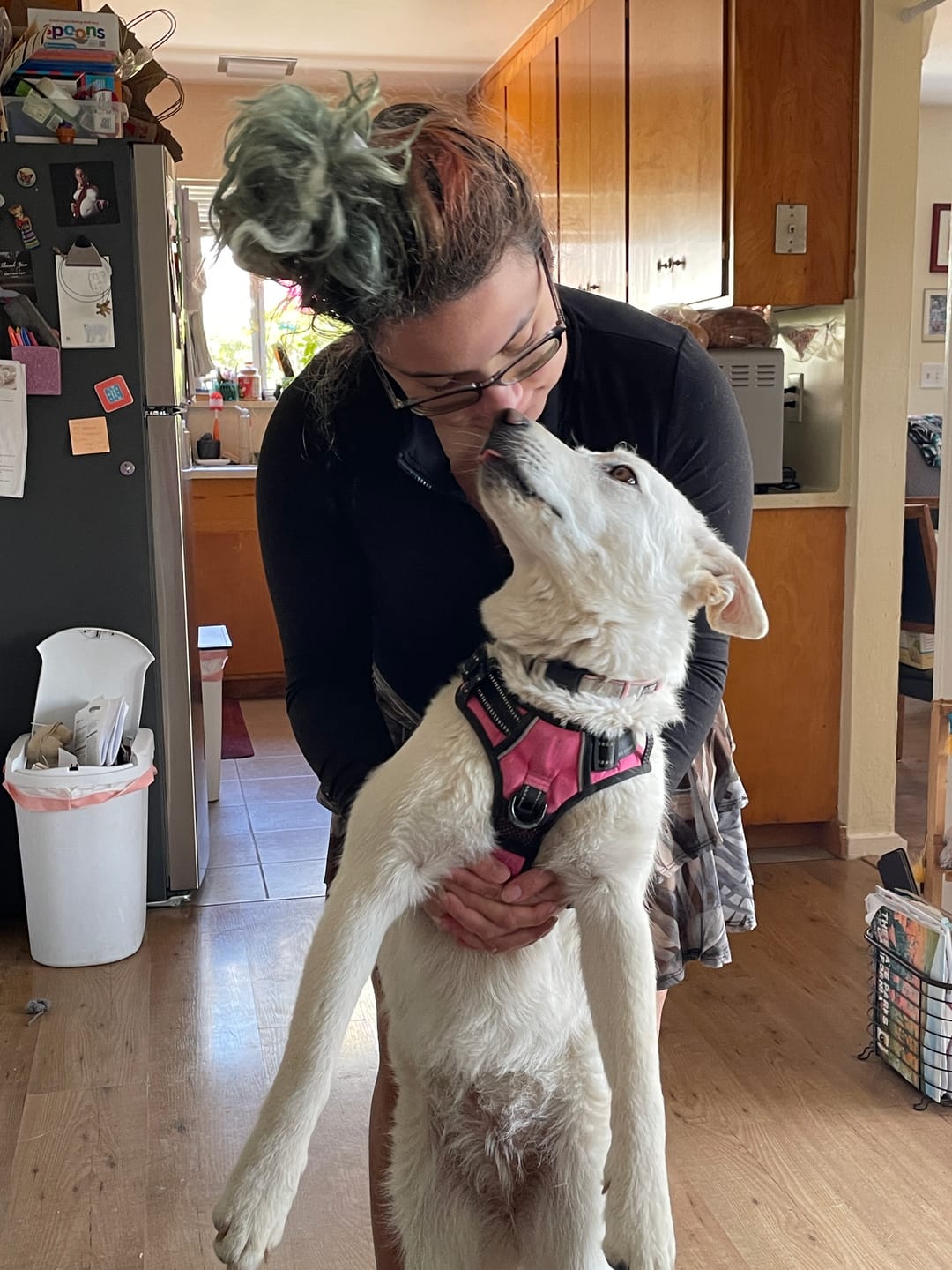 Customer photo review of Wholly Pup Gift Card