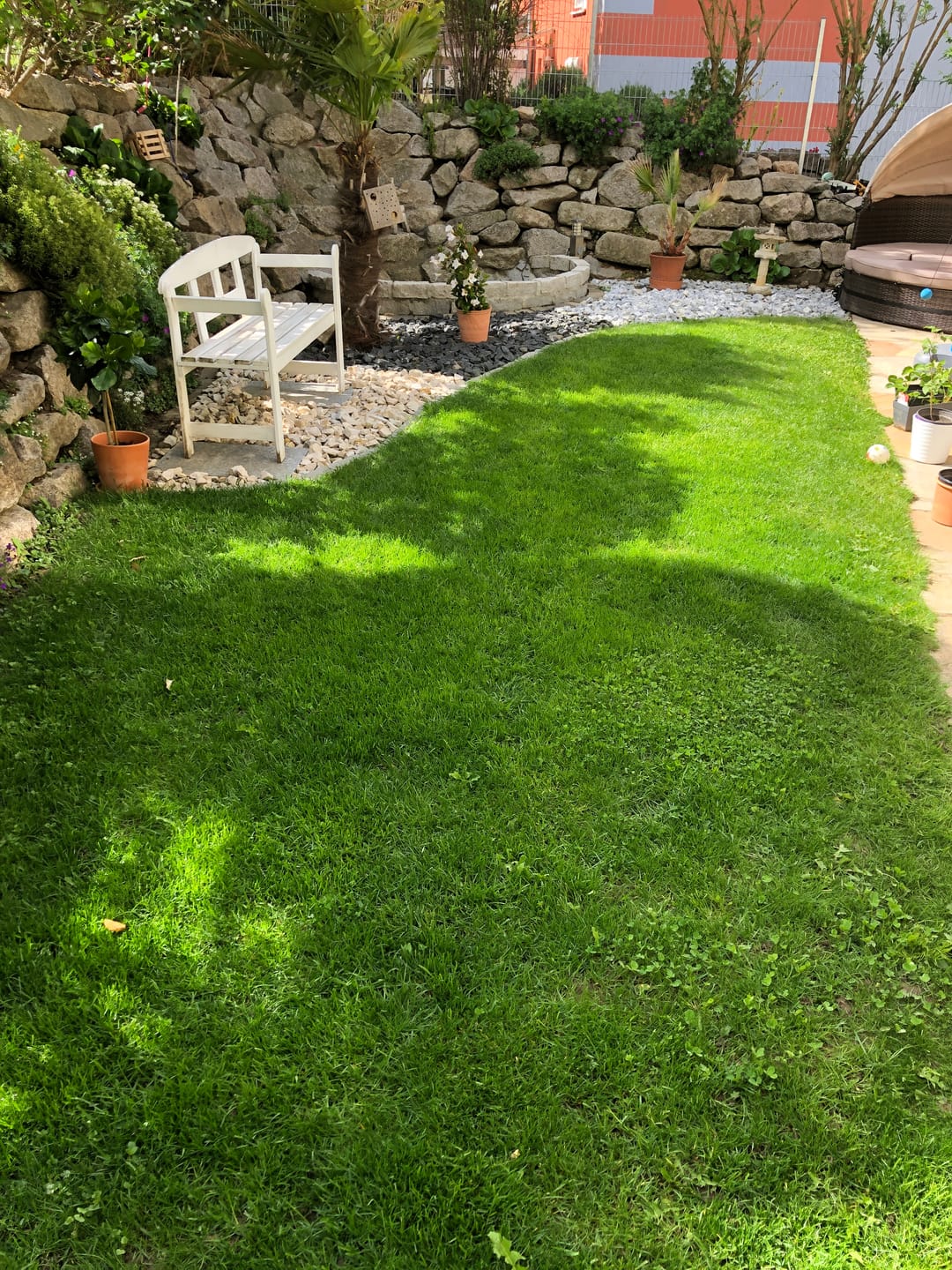Customer photo review of HaGaFe TURBO Rasendünger mit 30% Stickstoff, Rasen - Dünger mit Sofortwirkung und 120 Tage Langzeitwirkung, für ein dauerhaftes sattes Grün