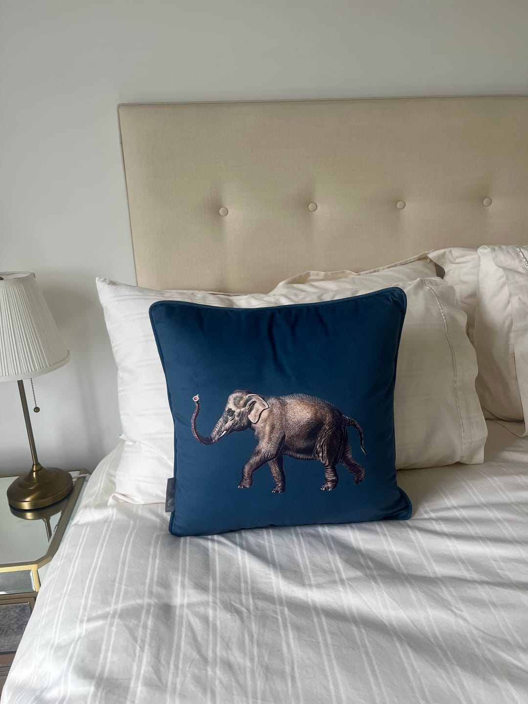 Customer photo review of Elephant | Sustainable Velvet Cushion