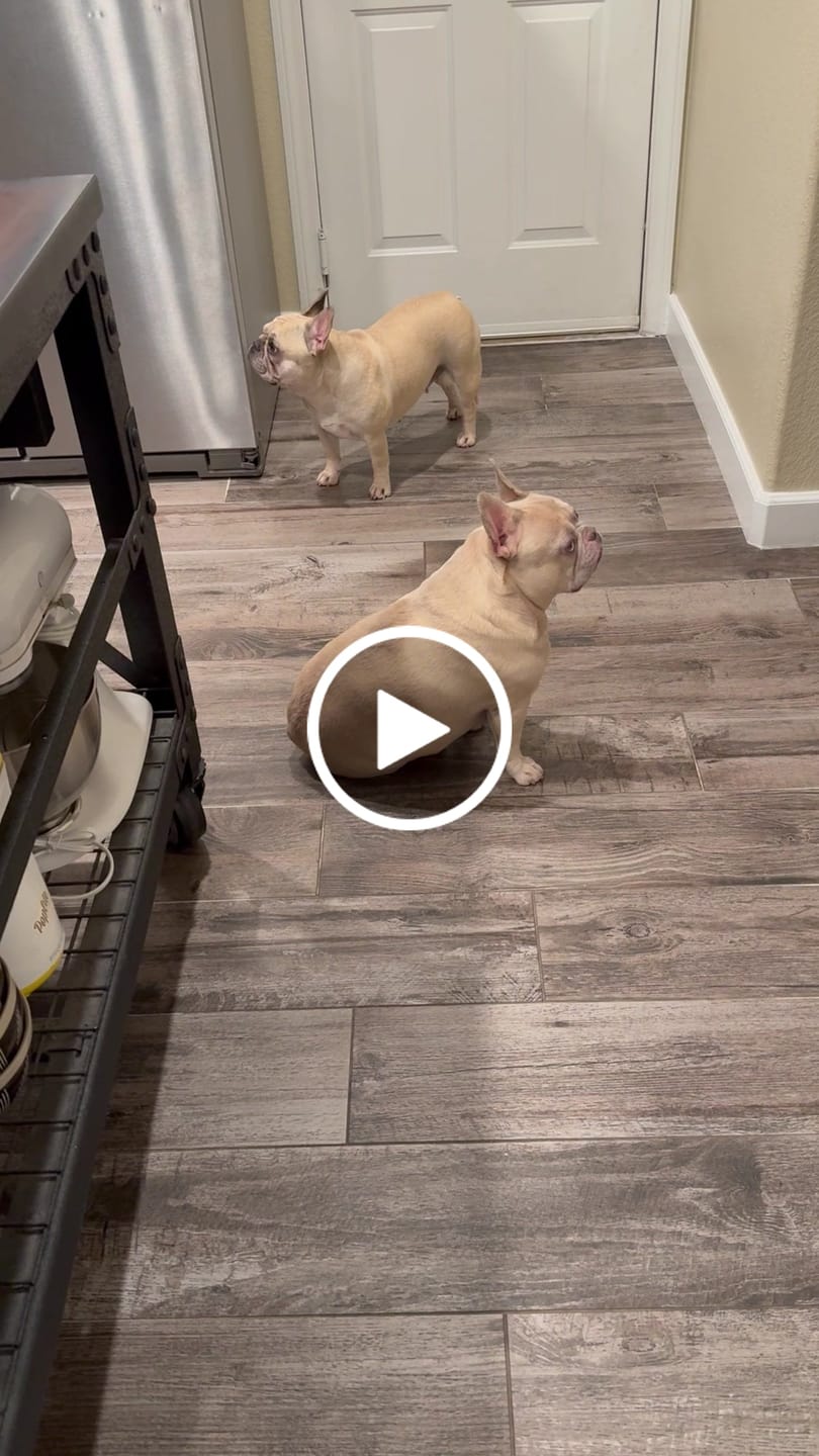 Customer video review of Tummy Essentials