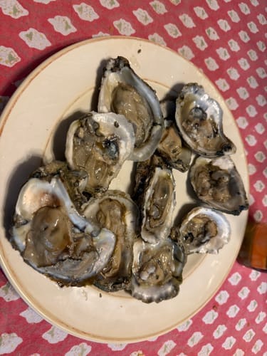 Customer photo review of The OysterClamp 2.0