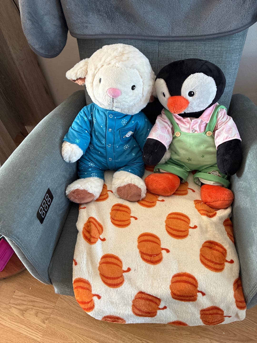 Customer photo review of Schaap Kleding Zomer Lotgenootje