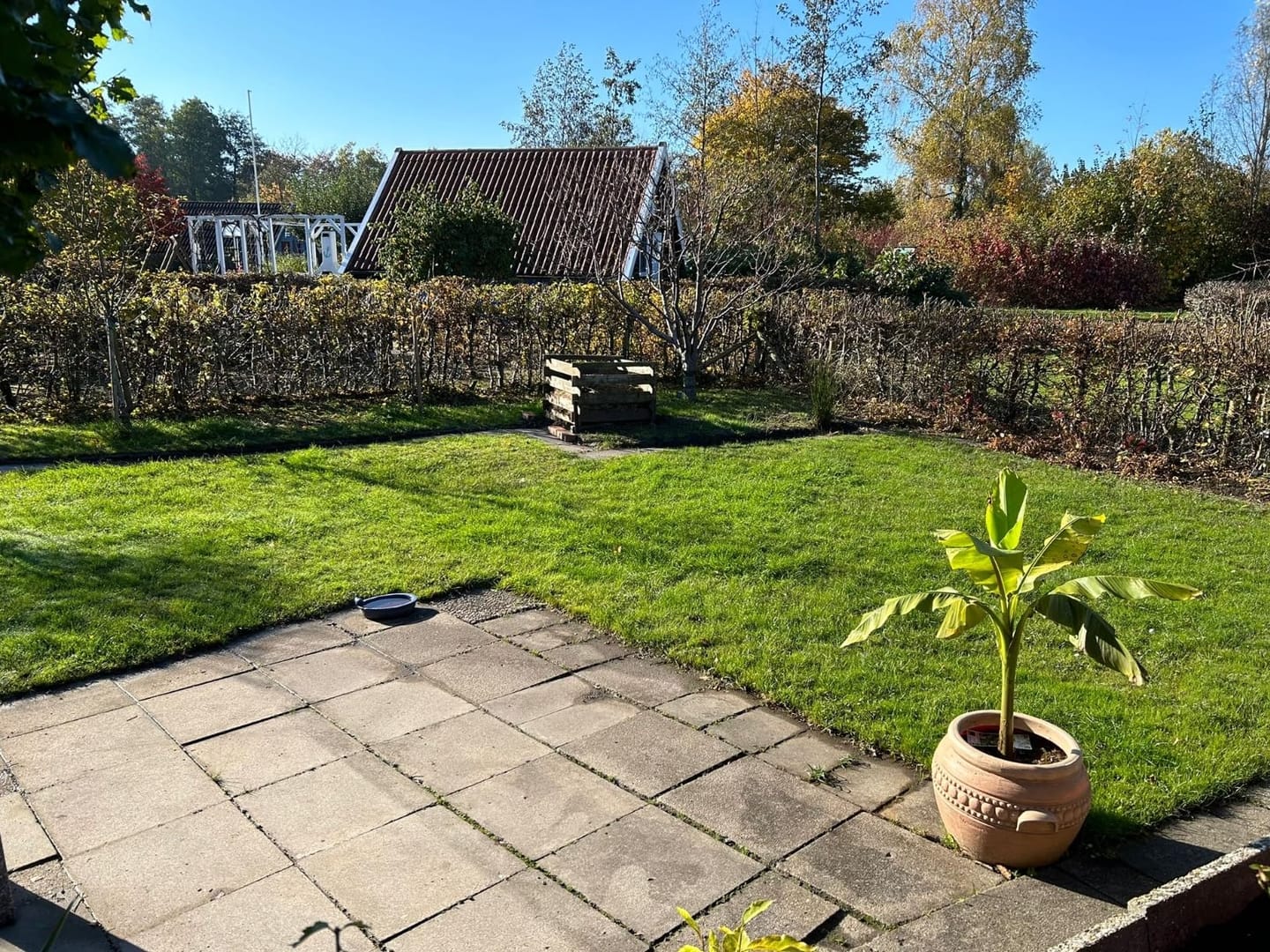 Customer photo review of Floragard Rasensand, Quarzsand, Gartensand, Rasen - Sand zum Lüften schwerer Böden, ideal nach dem Vertikutieren