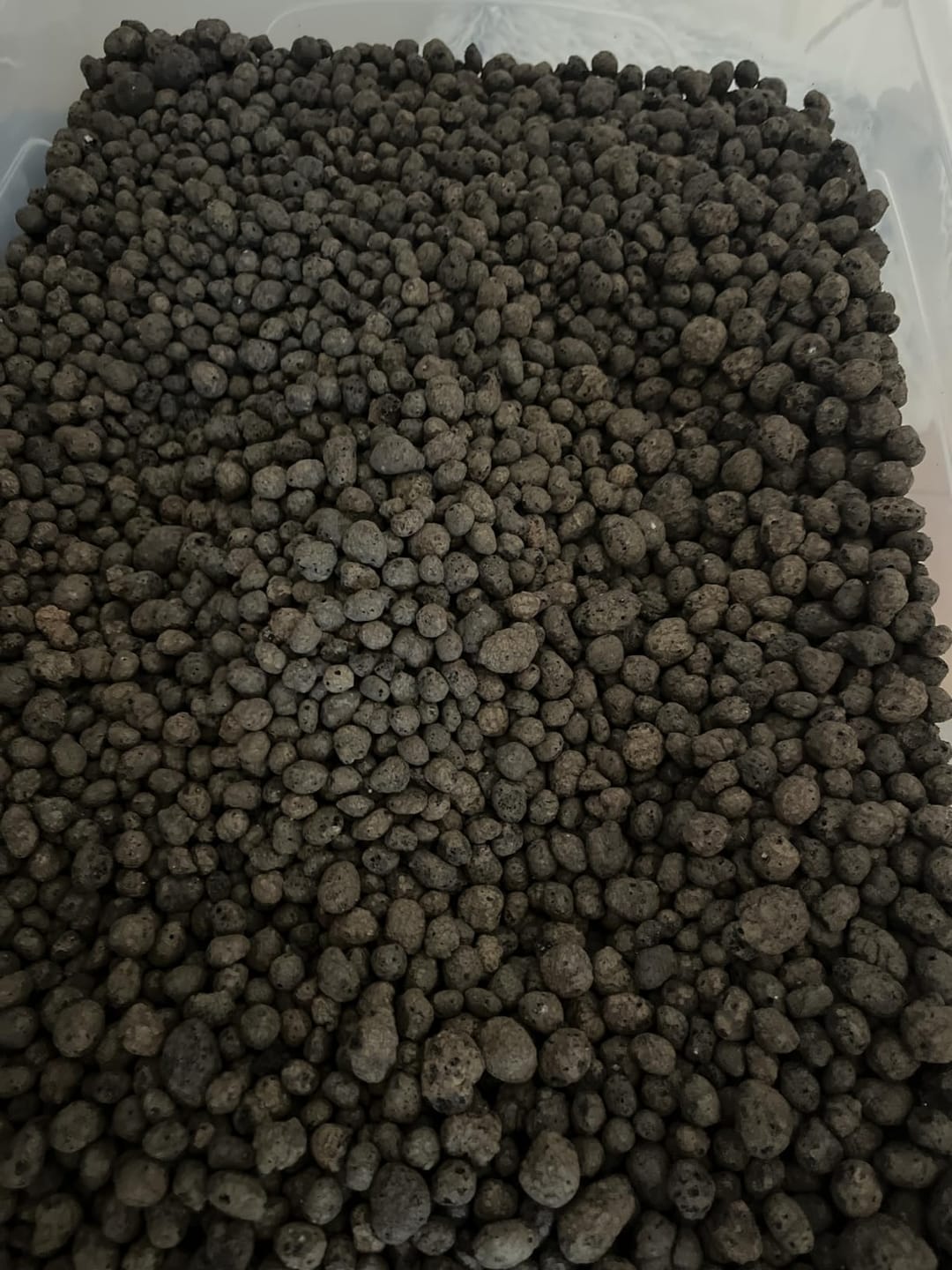 Customer photo review of Floragard Tongranulat, Blähton, Hydrokultursubstrat für Pflanzkästen, Kübel oder Topfe