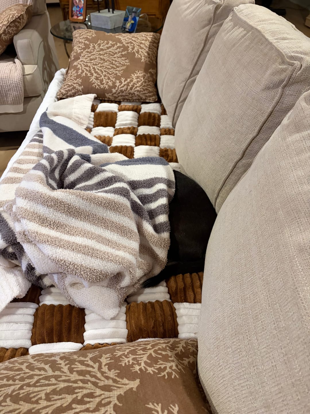 Customer photo review of Team K9® 2-in-1 Couch Cover & Dog Bed