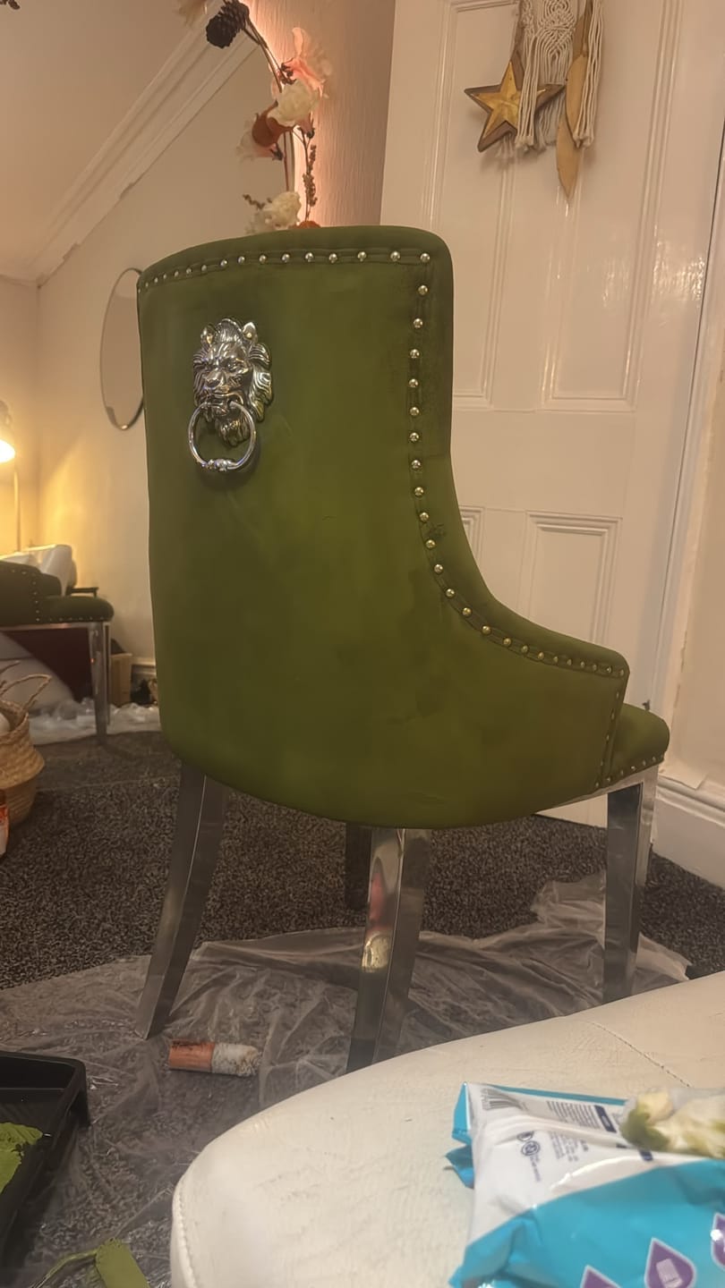 Customer photo review of Fabric Paint -- Olive