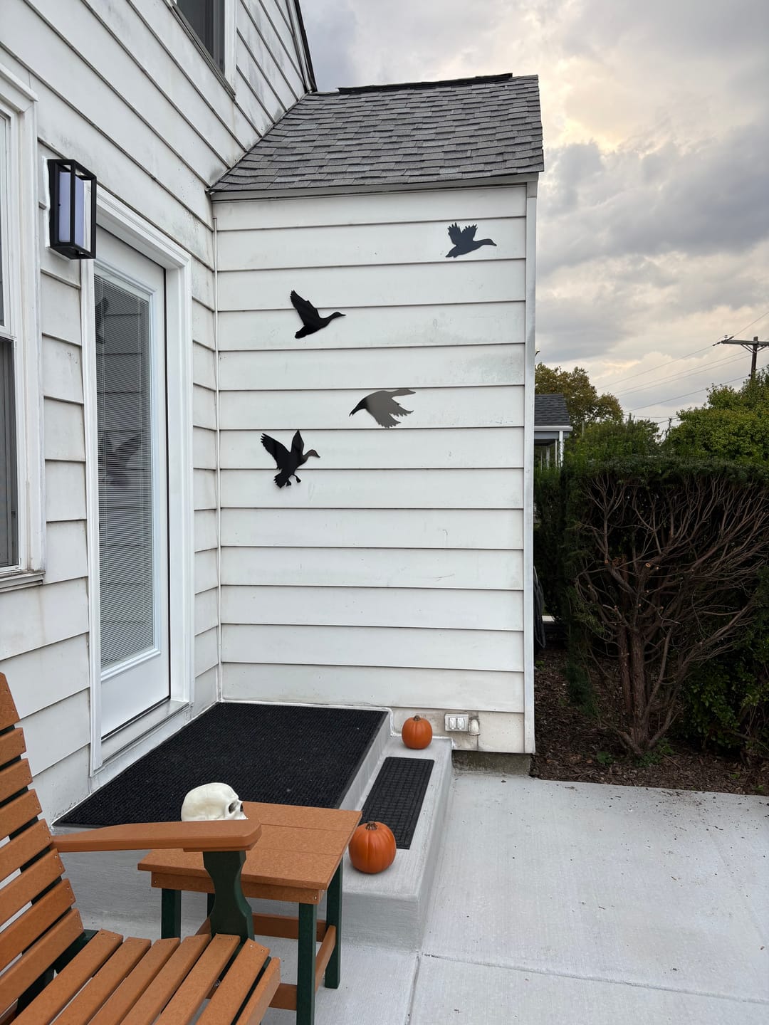 Customer photo review of Ducks Metal Wall Art – Wildlife Nature Cabin & Outdoor Home Decor
