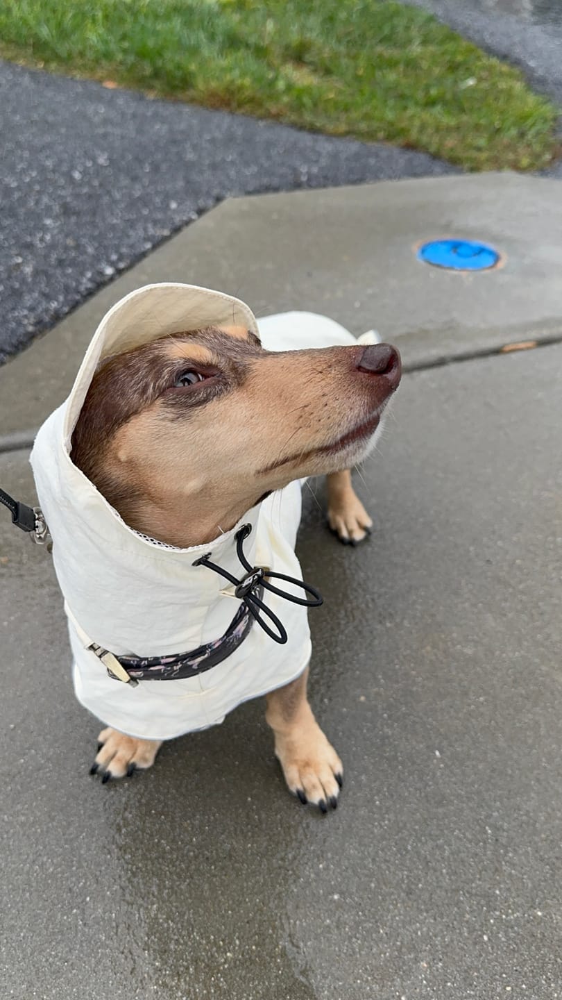 Customer photo review of Waterproof Raincoat