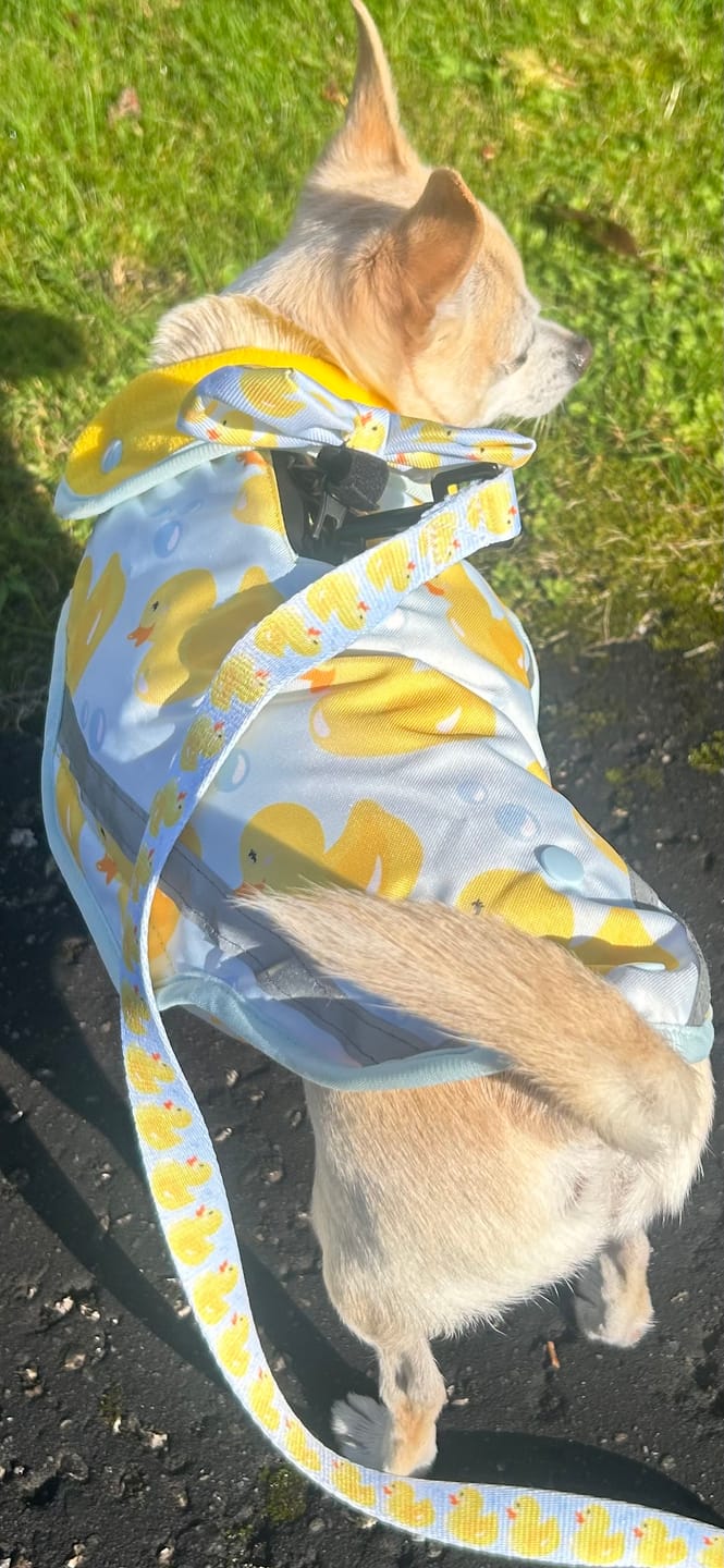 Customer photo review of Rain Jacket - You Quack Me Up!