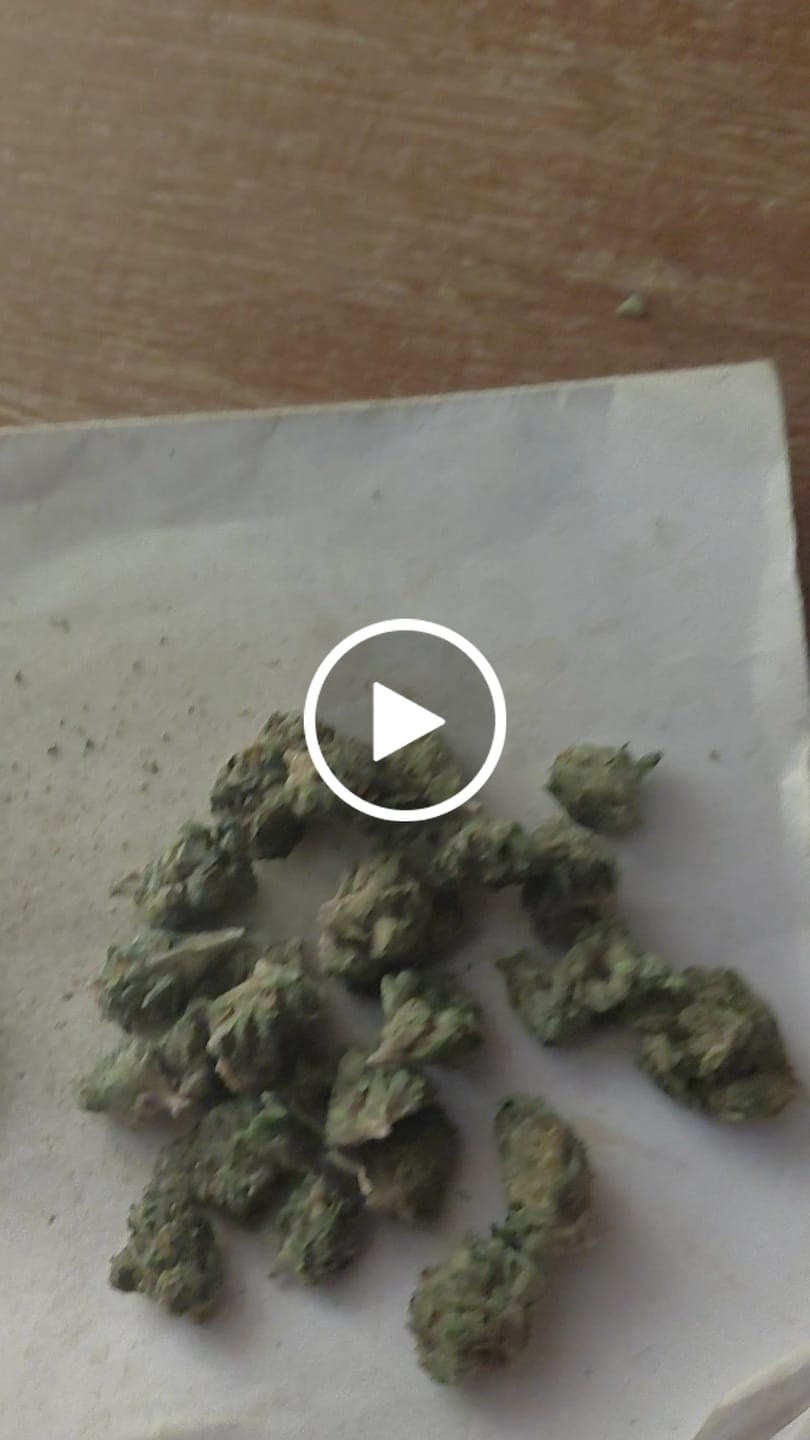Customer video review of Orange Tree Smalls - THCA Flower