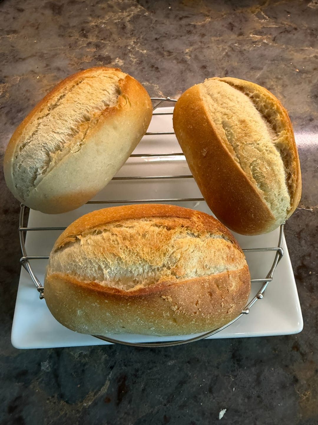 Customer photo review of Baker's Rolls "Brötchen" (5 pack)
