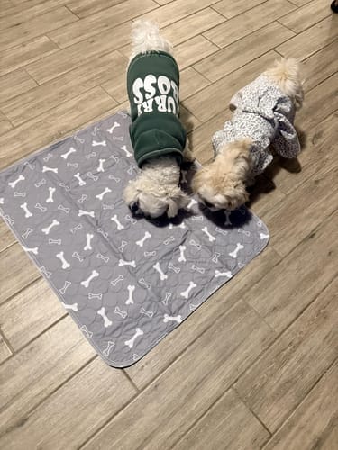 Customer photo review of PawDry™ — Empapador Reutilizable para Perros