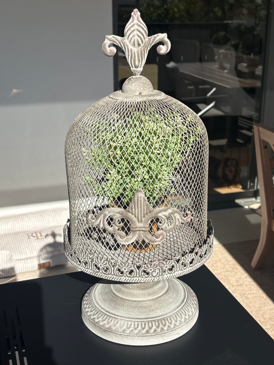 Customer photo review of Fleurine French Provincial Candle Cloche, Aged Iron Mesh Dome with Fleur-de-Lis Finial