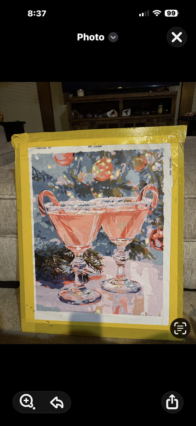 Customer photo review of Christmas Punch | Paint by Number
