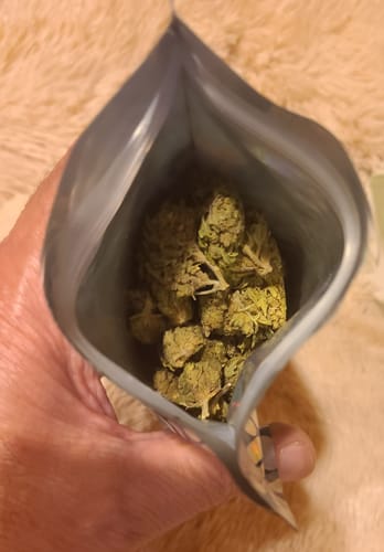 Customer's hand holding open bag of Lava Cake Indica, displaying multiple green flower buds.