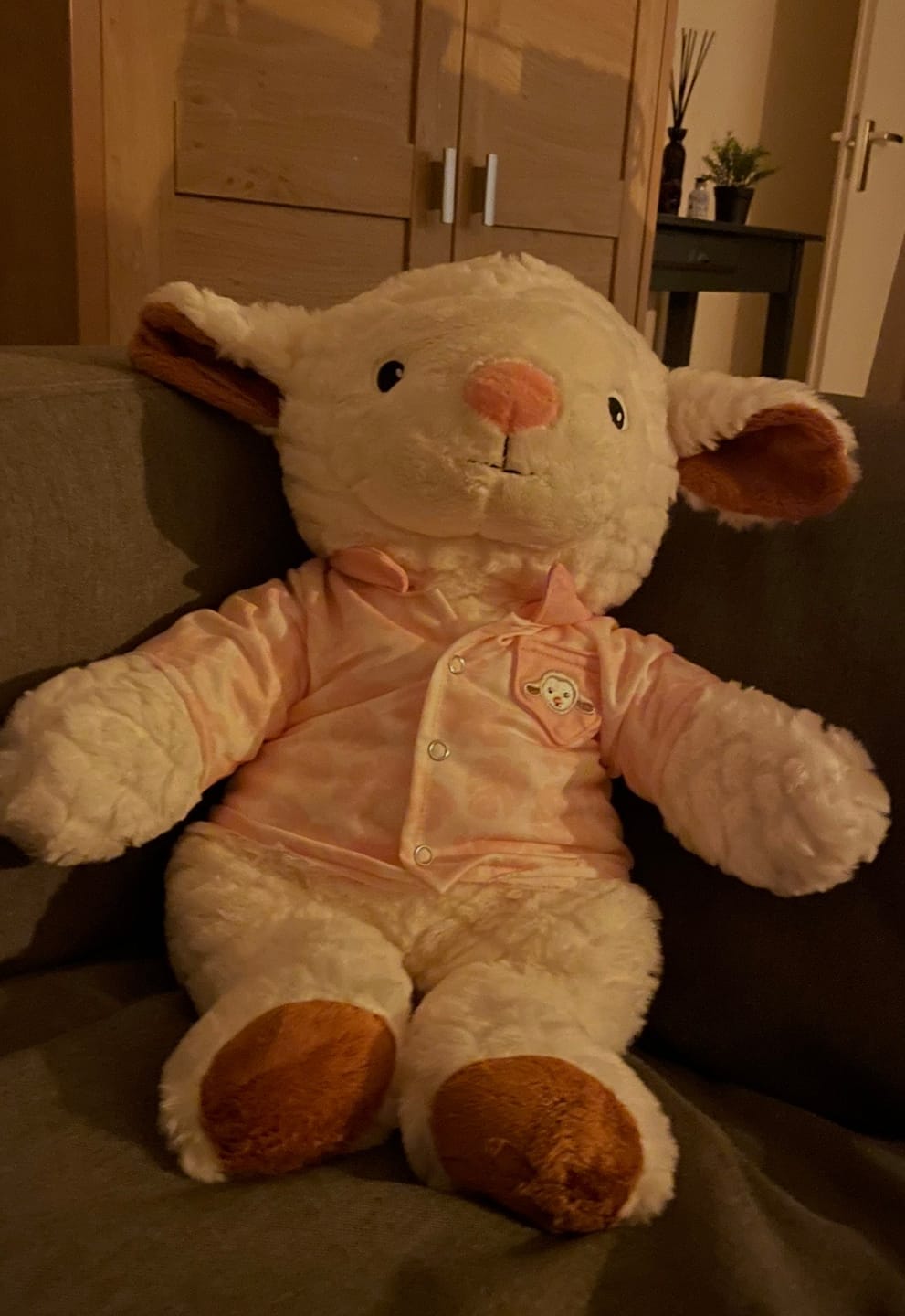 Customer photo review of Schaap Kleding Zomer Lotgenootje
