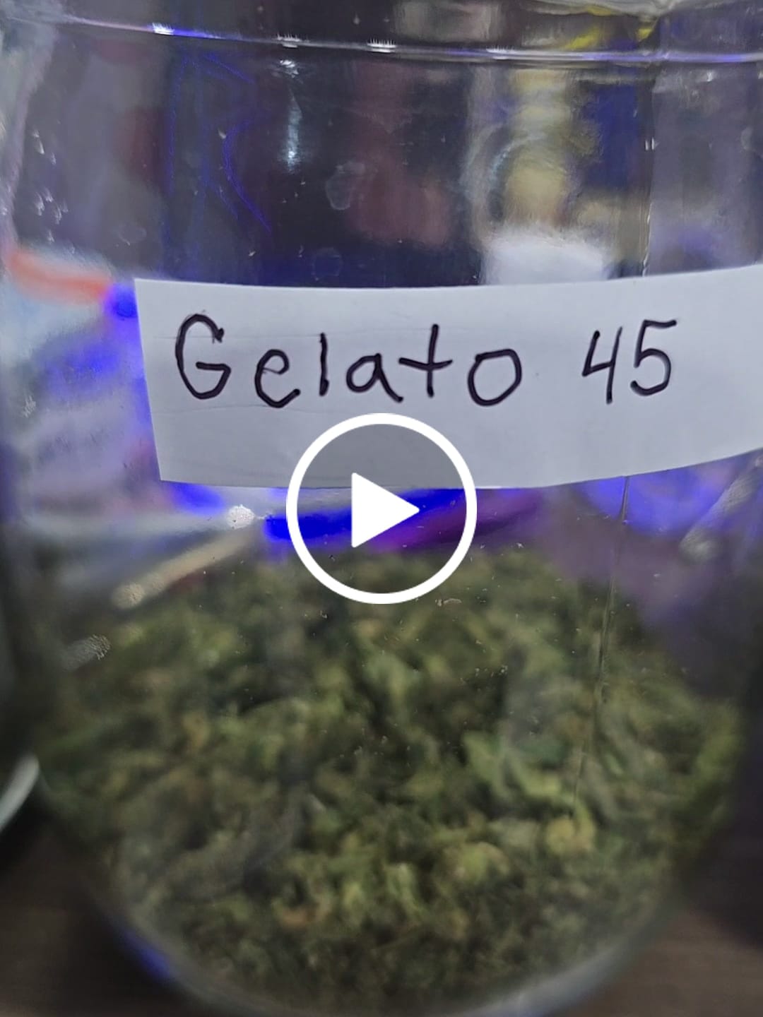 Customer video review of 28GX4 Shake Bundle