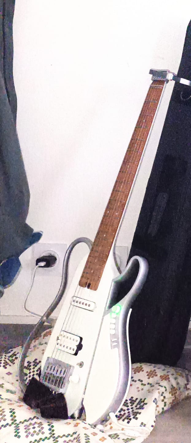 Customer photo review of Donner HUSH X LIVE Guitare de voyage