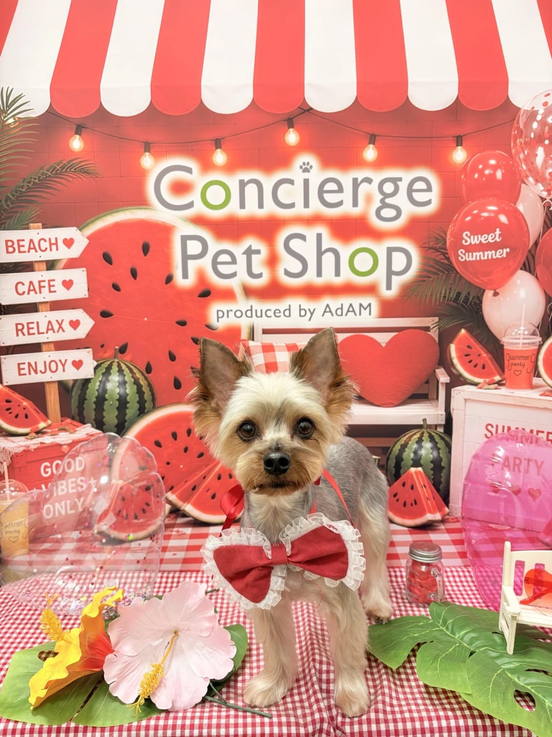 Customer photo review of 【新発売】うちの子刺繍コーデ - ペット写真から作る刺繍入りTシャツ