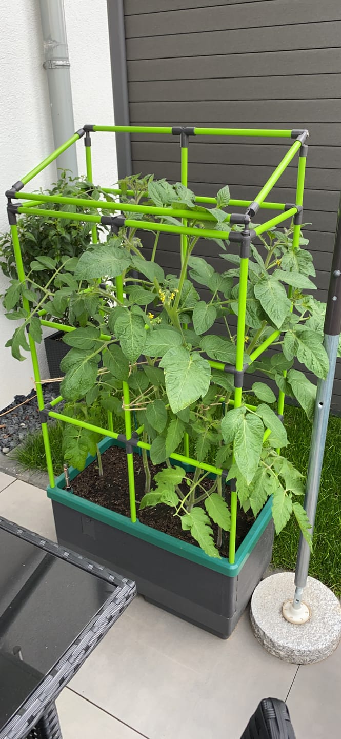 Customer photo review of Plantaflor Plus Tomatenerde, Gemüseerde, Paprikaerde, Gurkenerde, Gartenerde