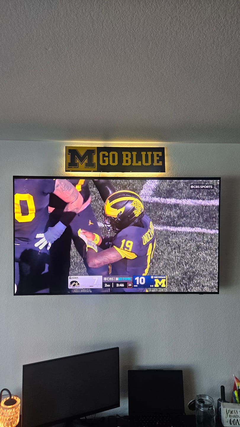 Customer photo review of Michigan "GO BLUE!" 3D Metal Wall Art
