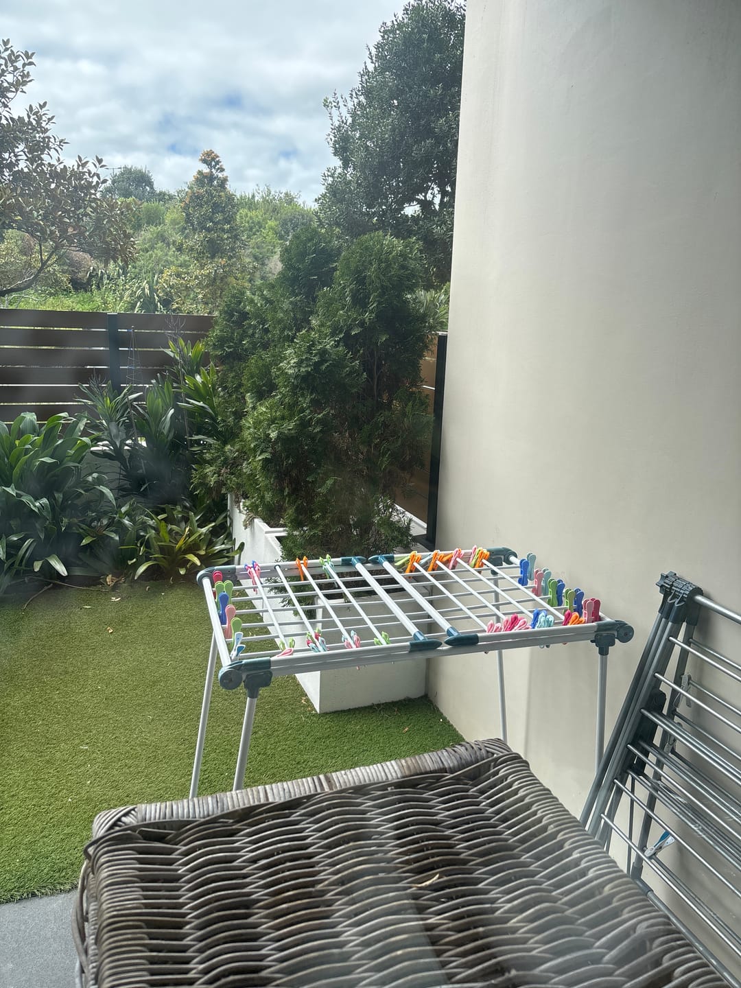 Customer photo review of Hegs Pegs 18pk