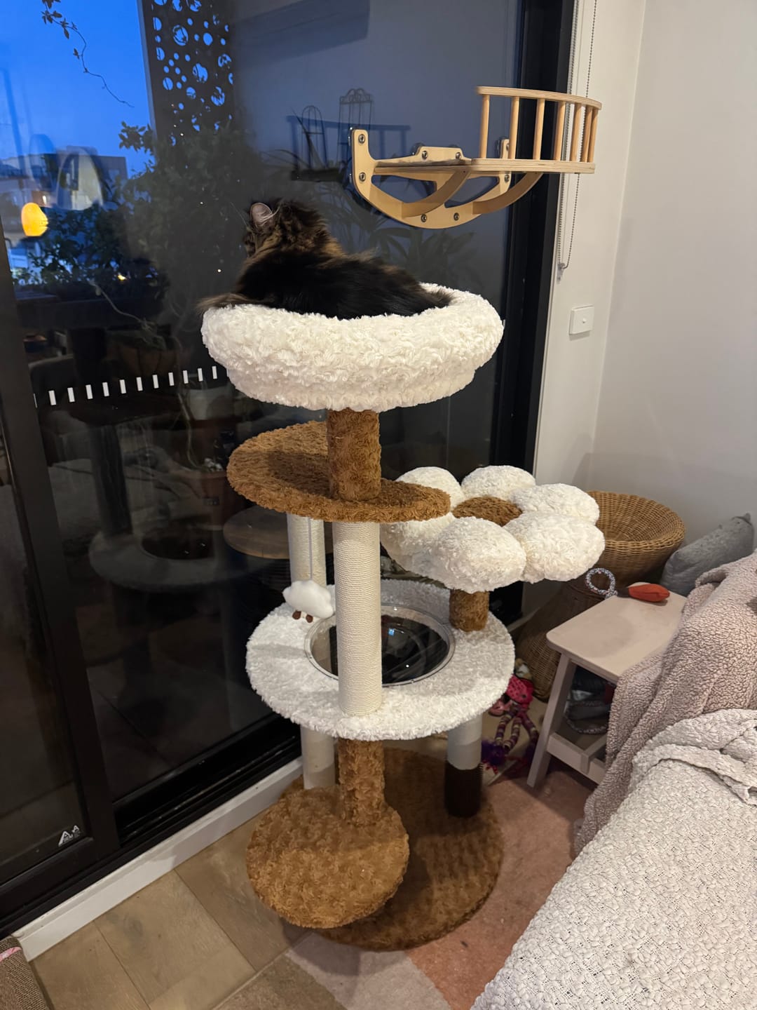 Customer photo review of Natural Bloom Multi-Platform Cat Tree