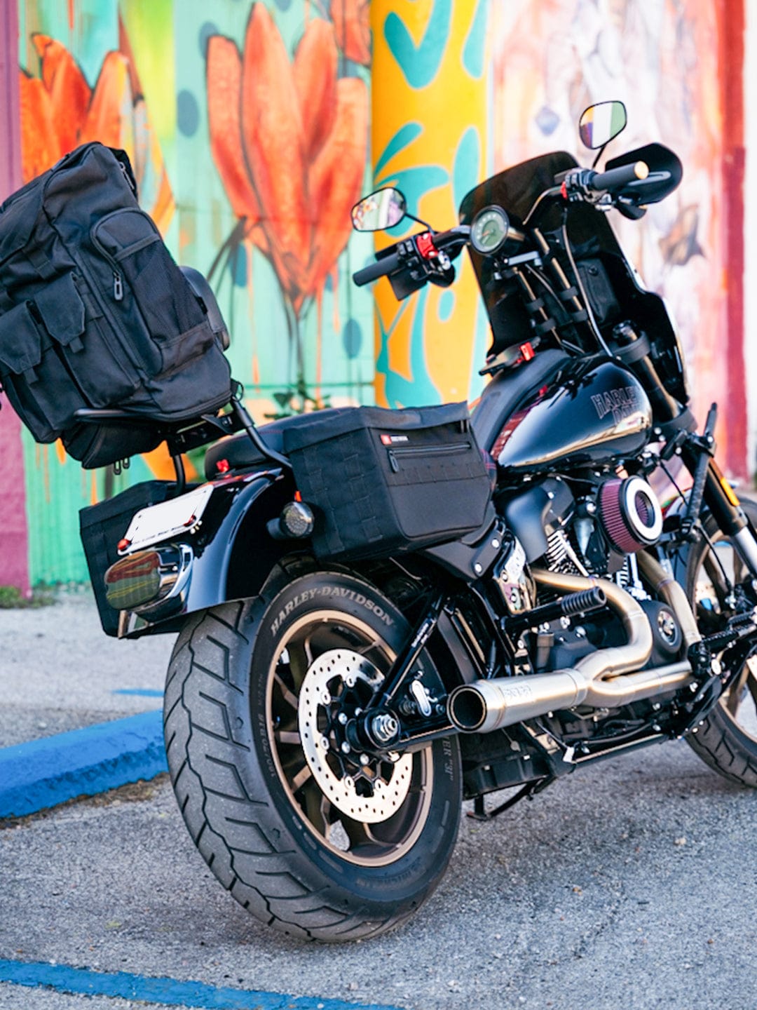 Customer photo review of 18L - Patriot Medium Motorcycle Throw Over Saddlebags for Harley Softail Low Rider S FXLRS