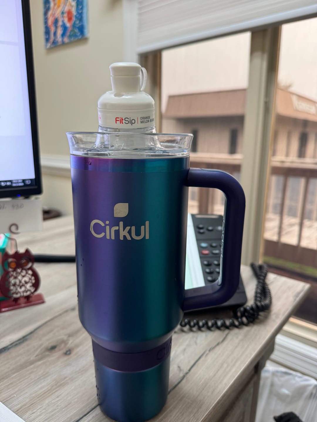 Customer photo review of FitSip® 6-Pack Variety Pack