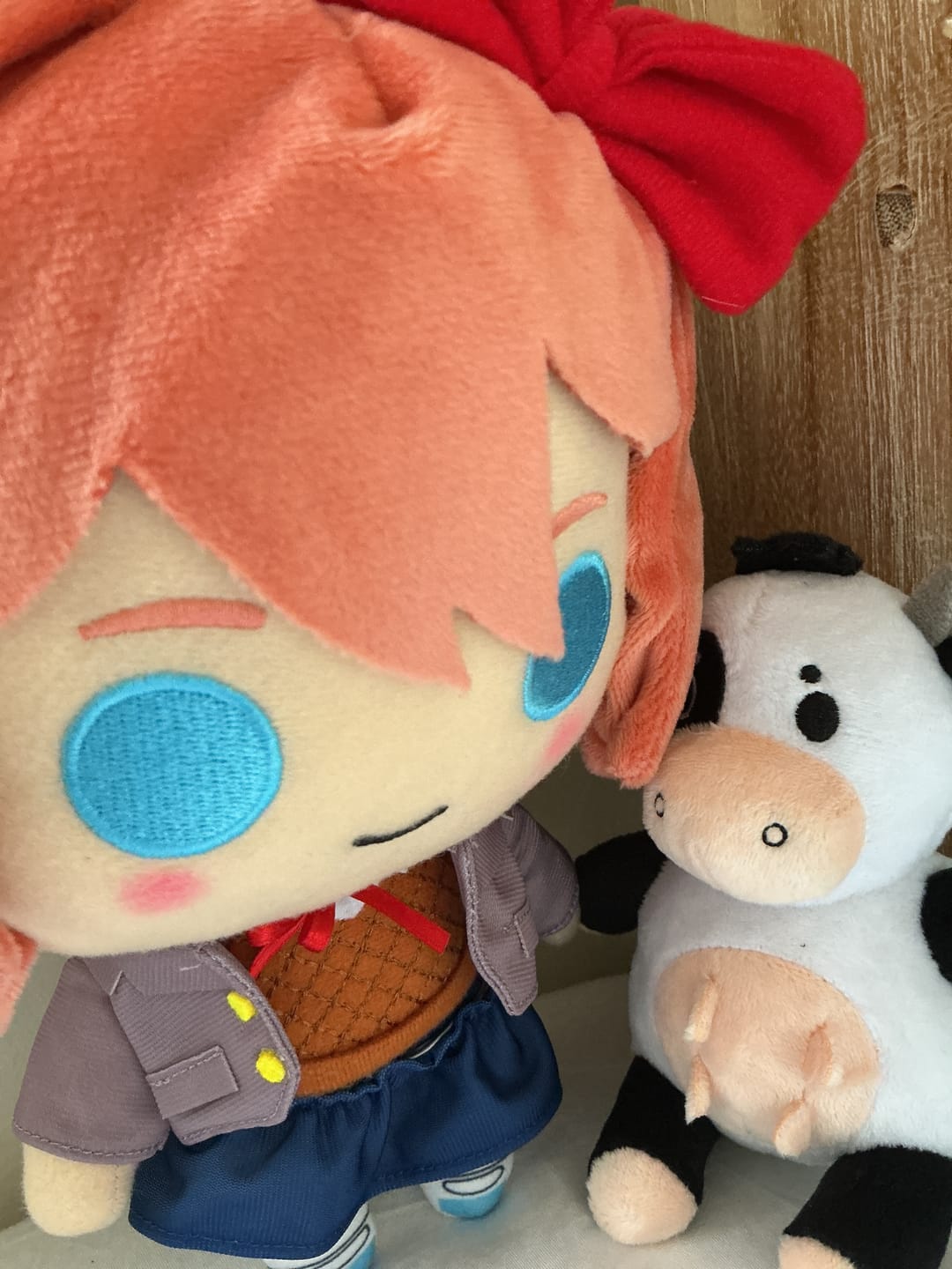 Customer photo review of Doki Doki Literature Club - Sayori Collector's Plush