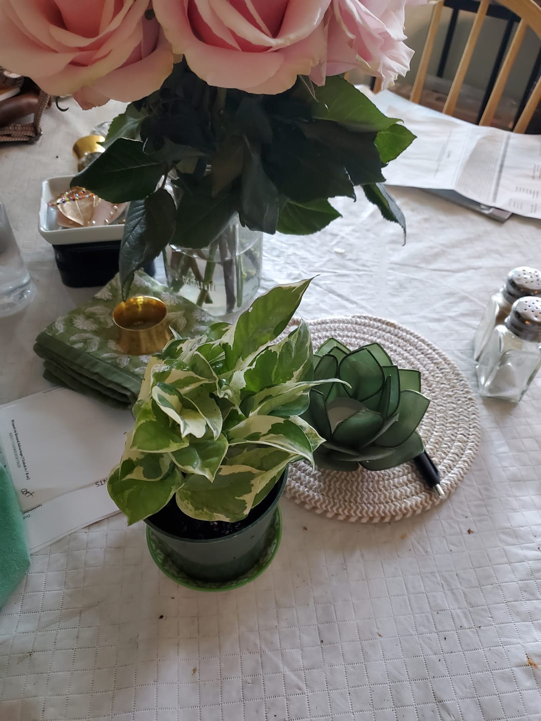 Customer photo review of RARE Pothos Njoy FULL Pot 4”Pot- White Variegated Indoor Vines - Low light plant Houseplant- Easy care - Natural source of joy and pure air.