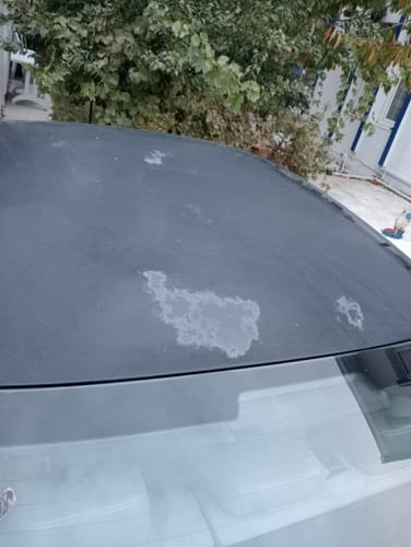 Customer photo review of CarCurtain™ Premium Ceramic Wax
