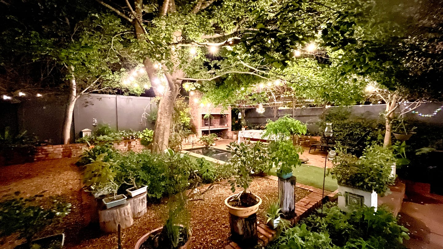 Customer photo review of Plug-In Mini Bulb String Lights