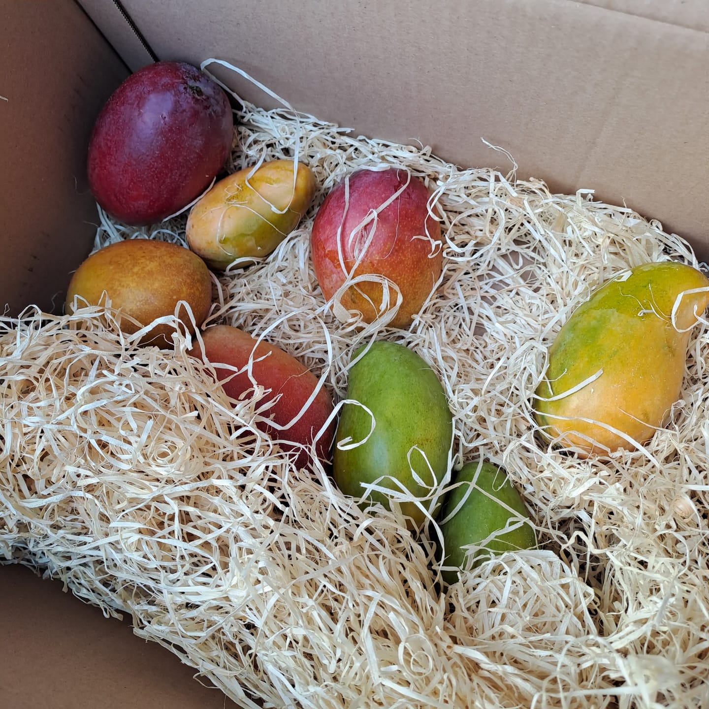 Customer photo review of Mango Honig „Ataulfo“ Bio von Julian
