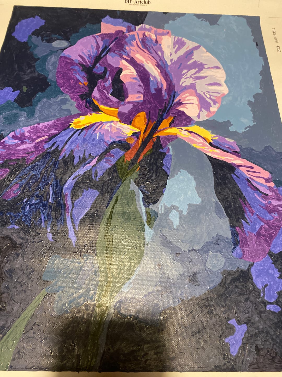 Customer photo review of Purple Bloom | Paint by Number