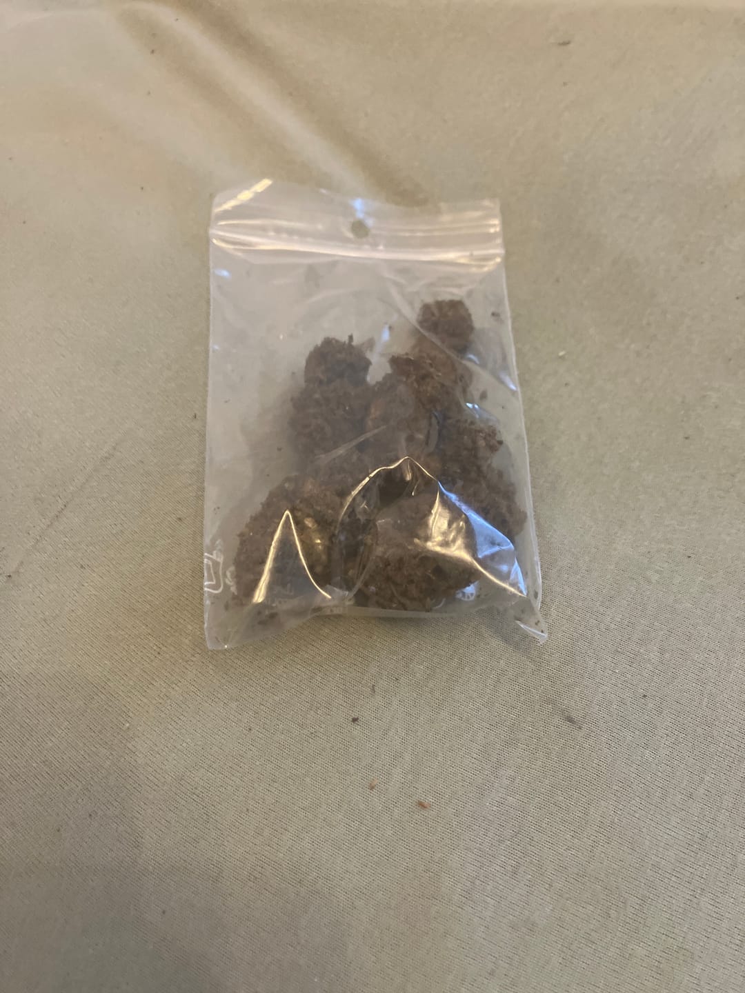 Customer photo review of Amnesia Haze Extra Strong 60% - CBD Blüten - Indoor - Unsere stärkste CBD Sorte