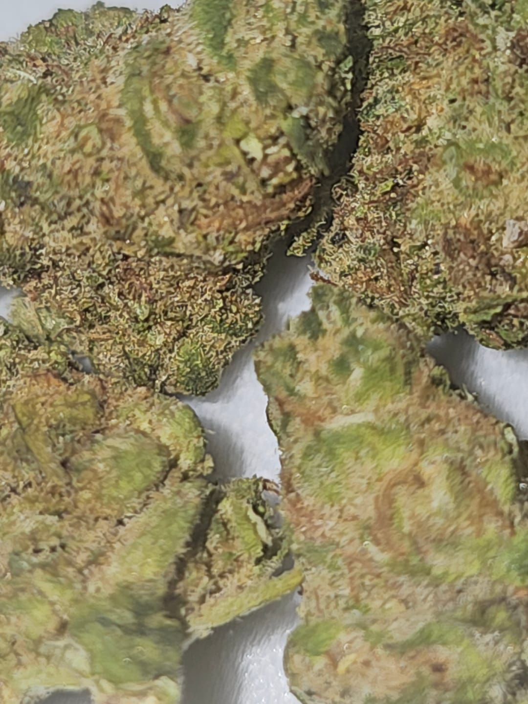 Customer photo review of Strawberry Cough THCA Flower