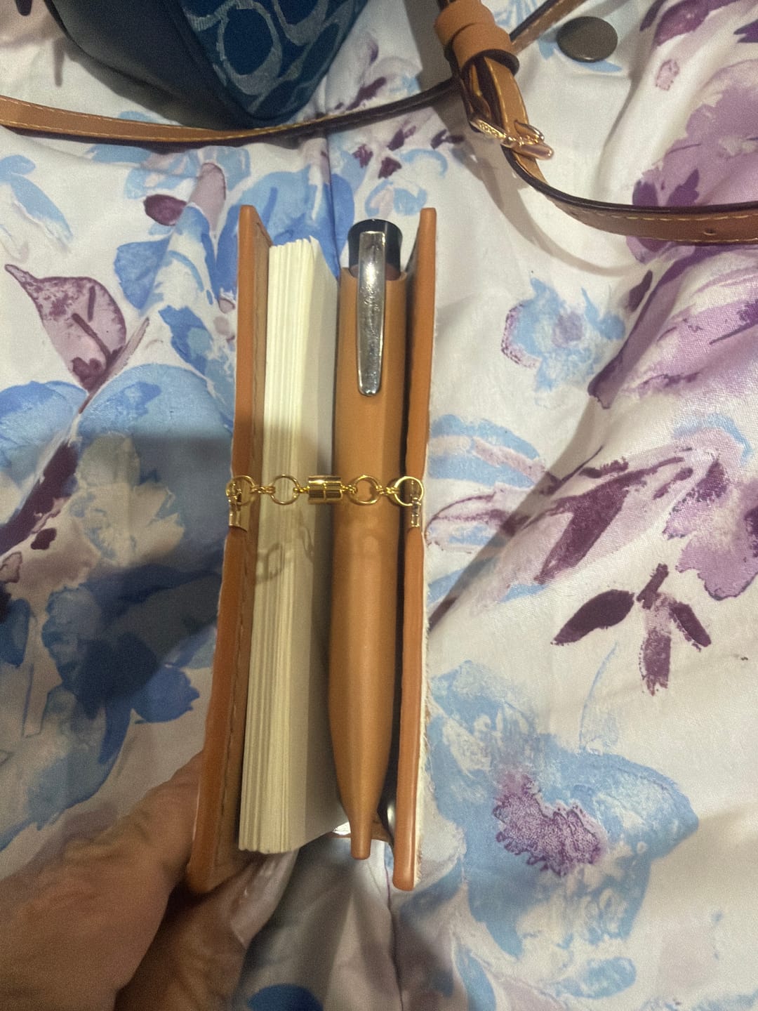 Customer photo review of Little Moo