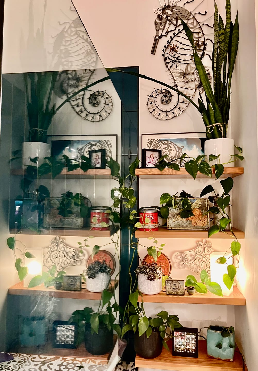 Customer photo review of Kelpy Food for Plants