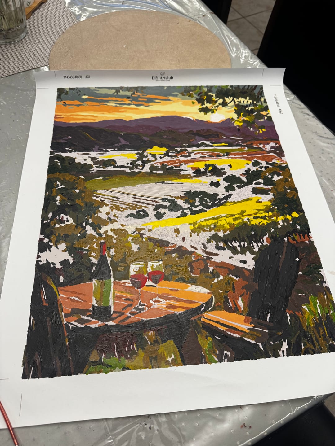 Customer photo review of Vineyards land | Paint by Number
