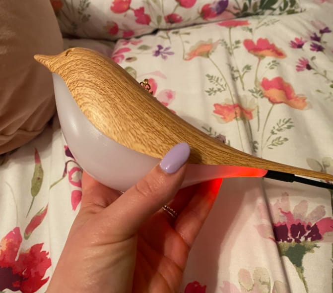 Customer photo review of Bird Table Lamp